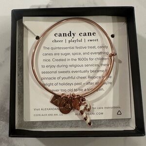 New in Box Alex And Ani Rose Gold Candy Cane Bracelet